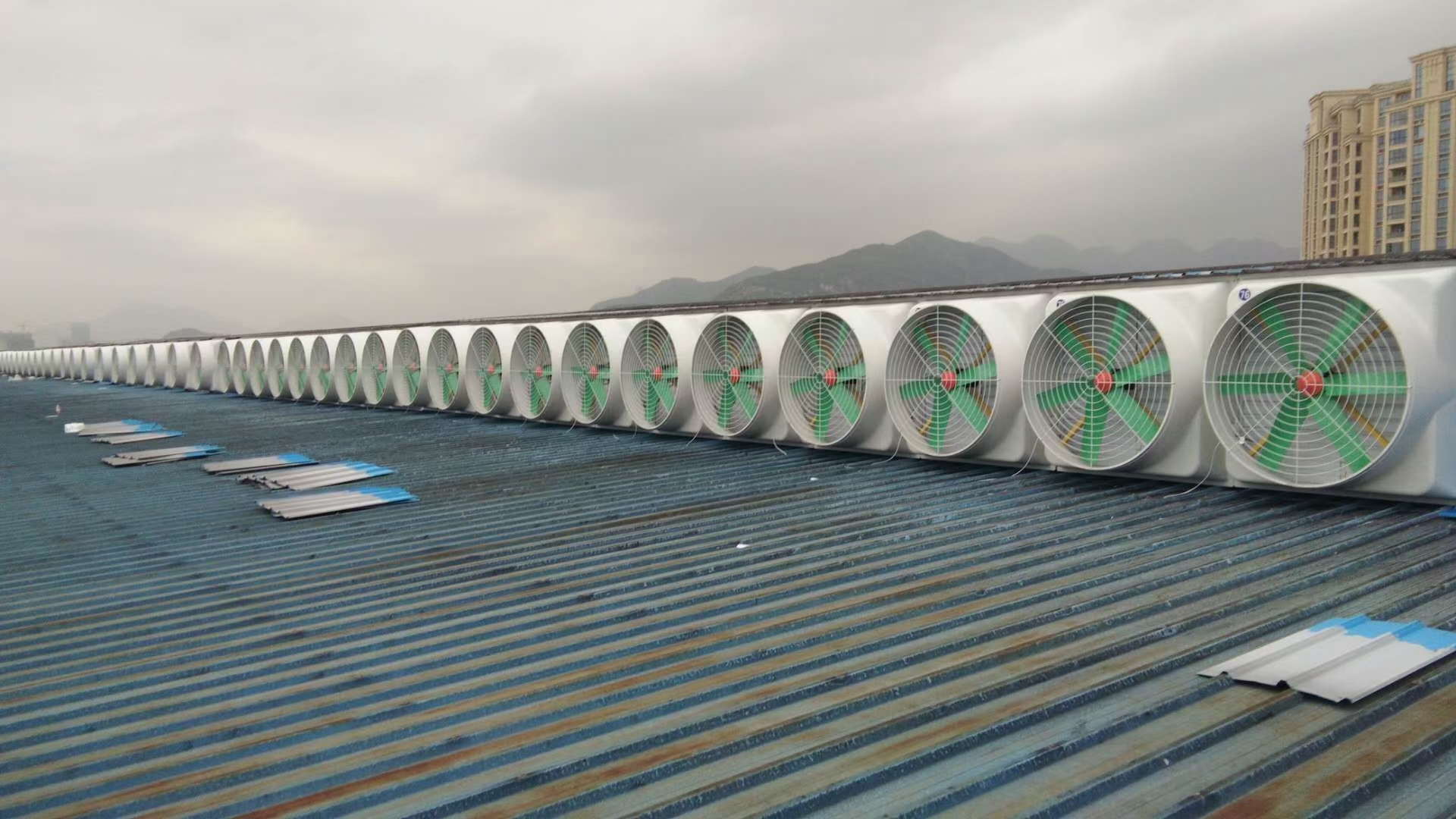 鋼結(jié)構(gòu)廠房屋頂氣樓安裝玻璃鋼負壓風機